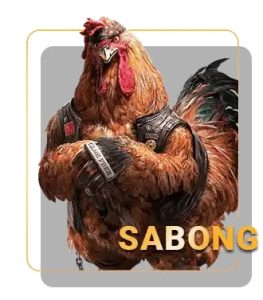 Sabong Slotbet Casino